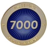Anstecker Milestone 7000 Finds
