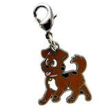 Tracker Geocoin nano Charm